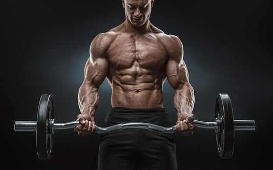 Séance de Prise de masse musculaire